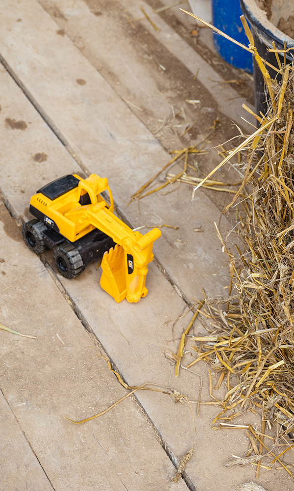 Bildbeschreibungstext